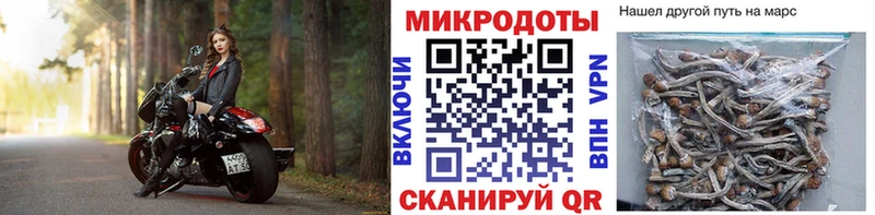 Галлюциногенные грибы ЛСД  МЕГА   Нижняя Тура 